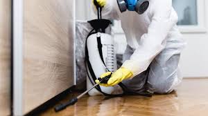 Pest Control for Hotels in Sand Ridge, NY